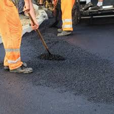 Best Driveway Border and Edging  in Travis Ranch, TX